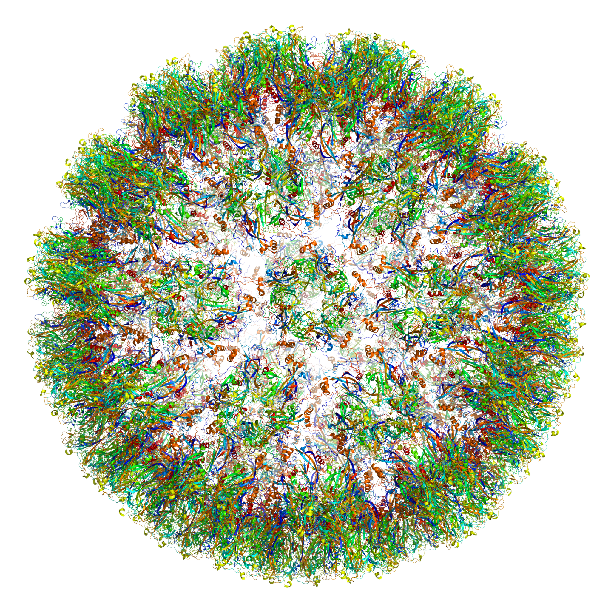 ¿Cuál es la conexión entre el VPH y el cáncer - Ampligen