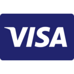 pago con visa