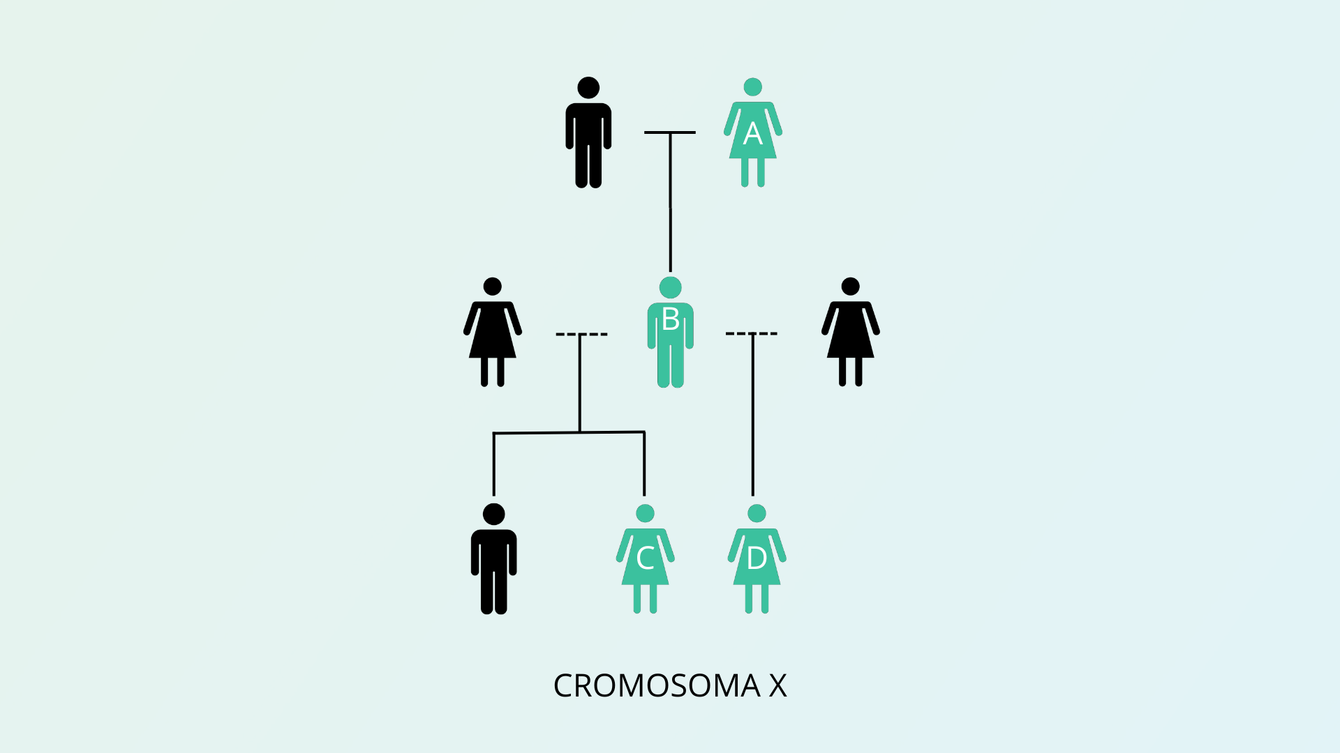 Prueba del Cromosoma X