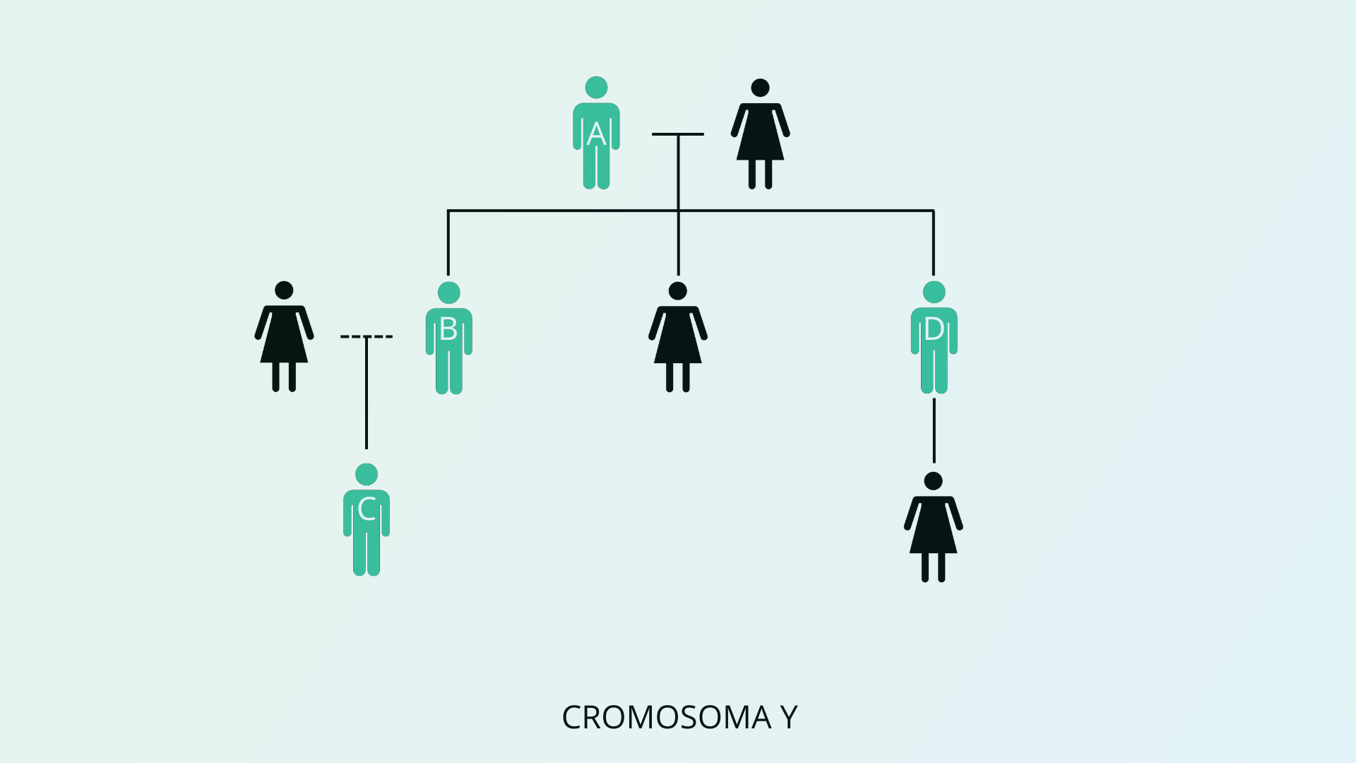 Prueba del Cromosoma Y